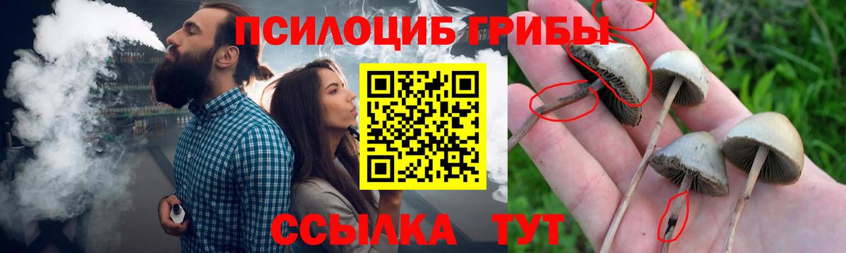 Урус-Мартан  Галлюциногенные грибы MAGIC MUSHROOMS  Вход с VPN 